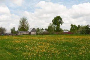 Продам дом с общей площадью 97.1м2, на улице Чагинская, г. Ступино, д родоманово, Московская обл., Россия, агентство АН "Ступино недвижимость" Продам дом с общей площадью 97.1м2, на улице Чагинская, г. Ступино, д родоманово, Московская обл., Россия, агентство АН "Ступино недвижимость"
